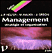 Management :stratégie et organisation
