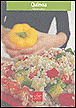 Quinoa&nbsp;-&nbsp;Valérie Cupillard