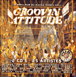 Reggae&nbsp;-&nbsp;Groov in attitude