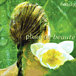 Pluie de beauté chez Fnac: 0096741028427