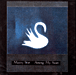 Mazzy Star&nbsp;-&nbsp;Among my swan