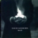 David Sanborn&nbsp;-&nbsp;Inside