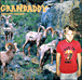 Grandaddy&nbsp;-&nbsp;Below the radio