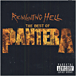 Pantera&nbsp;-&nbsp;Reinventing hell