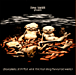 Limp Bizkit&nbsp;-&nbsp;Chocolate starfish and the hot dog flavored water