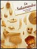 Salamandre&nbsp;-&nbsp;Christian Voltz