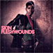 Skin&nbsp;-&nbsp;Fleshwounds