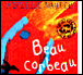 Beau corbeau