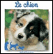 Chien&nbsp;-&nbsp;Natacha Fradin