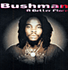 Bushman&nbsp;-&nbsp;A better place