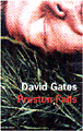 Preston falls&nbsp;-&nbsp;David Gates