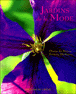 Jardins de la mode
