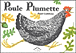 Poule Plumette