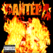 Pantera&nbsp;-&nbsp;Reinventing the steel