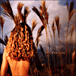 Sophie B Hawkins&nbsp;-&nbsp;Wilderness/inclus titres bonus