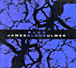 James Blood Ulmer