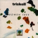 An Triskell&nbsp;-&nbsp;Rowen tree