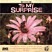 To My Surprise&nbsp;-&nbsp;To My Surprise
