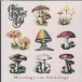 The Allman Brothers Band&nbsp;-&nbsp;Mycology