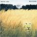 White Lion&nbsp;-&nbsp;Big game