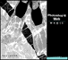 Photoshop 6 pour Web Magic
