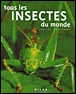Tous les insectes du monde&nbsp;-&nbsp;Lucas Baliteau