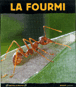 La fourmi&nbsp;-&nbsp;Luc Gomel