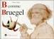 B comme Bruegel&nbsp;-&nbsp;Marie Sellier