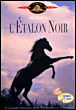 L'Etalon noir&nbsp;-&nbsp;Carroll Ballard