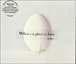 Wilco&nbsp;-&nbsp;A ghost is born