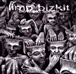 Limp Bizkit, Butch Vig