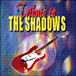 Shadows Tribute&nbsp;-&nbsp;Tribute to the shadows