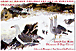 Paysages et milieux naturels des iles de port-cros et porque