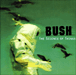 Bush
