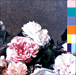New Order
