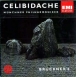 Anton Bruckner&nbsp;-&nbsp;Bruckner / vol.8