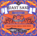 Giant Sand&nbsp;-&nbsp;Selections Circa 1990-2000