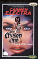 The chosen one : Legend of raven&nbsp;-&nbsp;Lawrence Lanoff