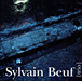 Sylvain Beuf&nbsp;-&nbsp;Trio