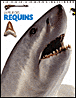 La peur des requins