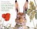 Les bonnes mauvaises herbes&nbsp;-&nbsp;Dominique Maes, Colette Hellings