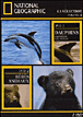 Les Dauphins danseurs de l'océan - Les Bébés animaux - Edition Digipack
