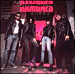 The Ramones&nbsp;-&nbsp;Halfway to sanity