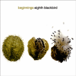 David Kellogg, George Crumb&nbsp;-&nbsp;Eighth blackbird : Beginnings