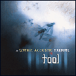 Tool Tribute&nbsp;-&nbsp;A gothic acoustic tribute