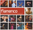 Beginner s guide to flamenco