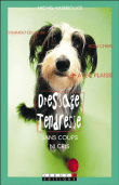 Dressage tendresse
