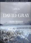 David Gray, life in slow motion&nbsp;-&nbsp;David Gray