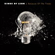 Kings of Leon&nbsp;-&nbsp;Because of the times