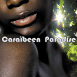 Compilation Electro&nbsp;-&nbsp;Caraïbeen Paradise